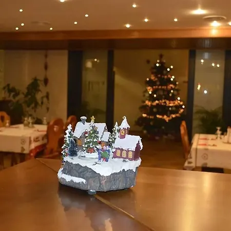 Domeniul Dornei 4* Vatra Dornei